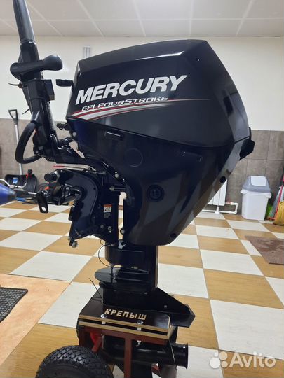 Mercury f 10 efi