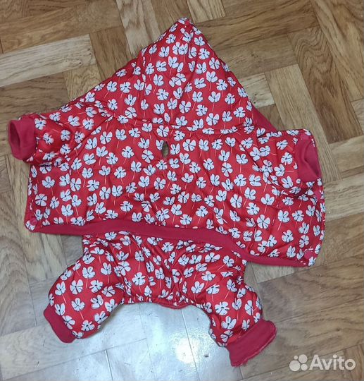 Одежда для маленьких собак