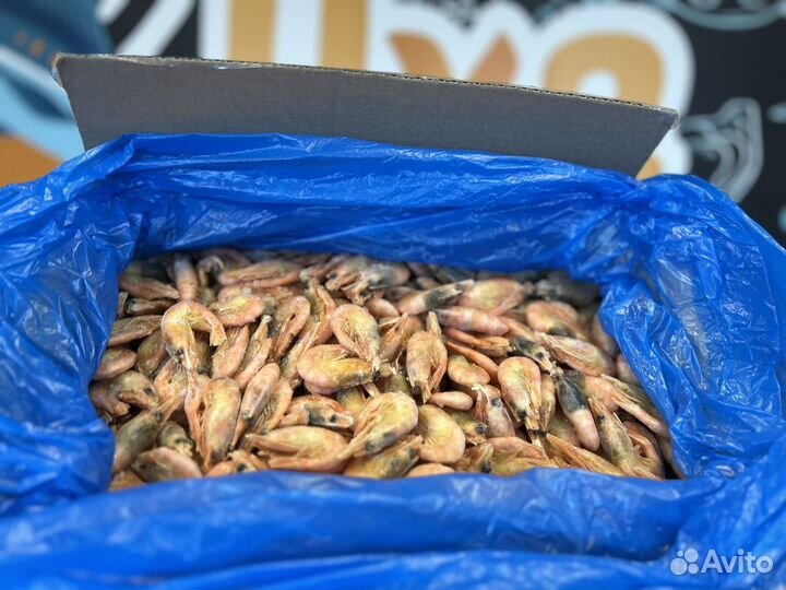 Северная креветка 90/120