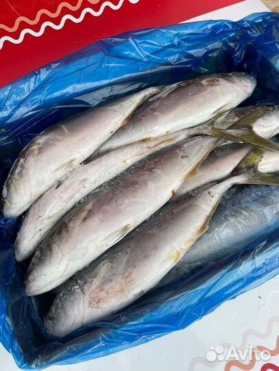 Лакедра нр 800-1300гр