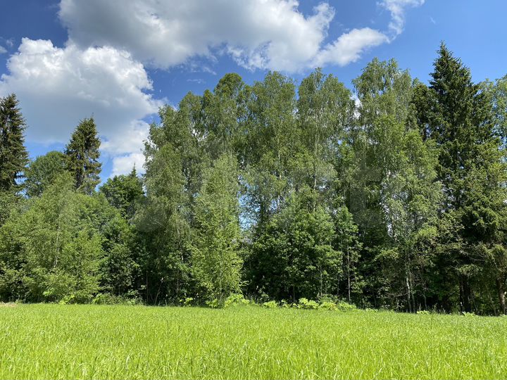 Участок 6,3 сот. (ИЖС)