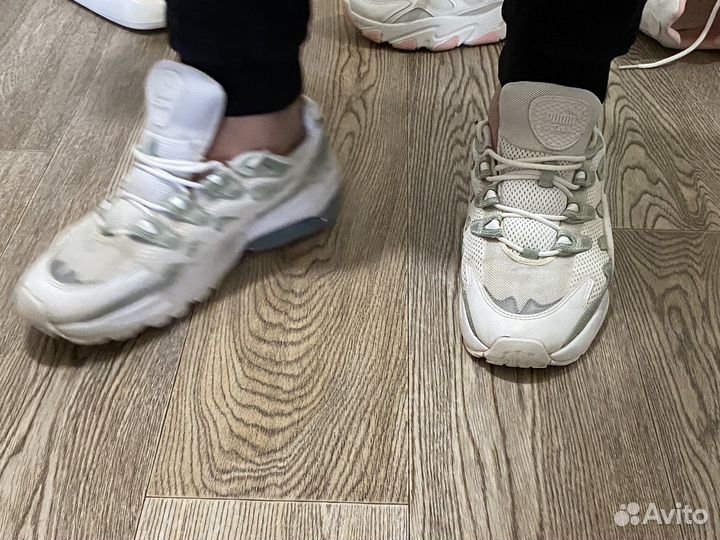 Кроссовки. puma