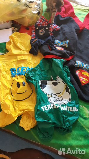 Зоотовары одежда