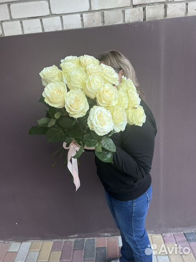 Шикарная голландская белая роза