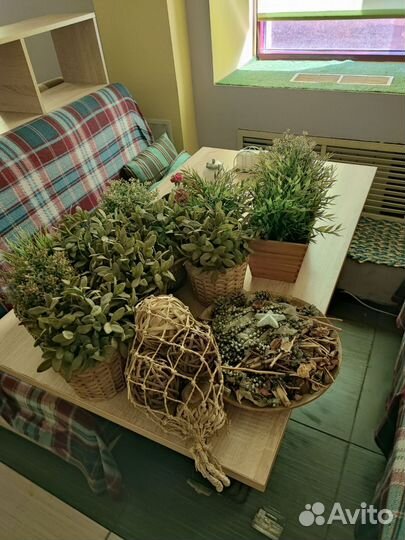 Декоративные растения искусственные