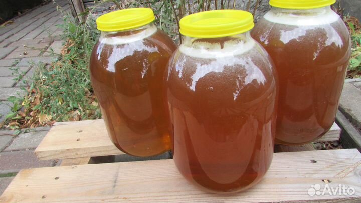 Мёд пчелиный