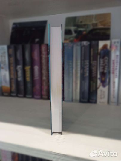 Всё нечестные святые Мэгги Стивотер