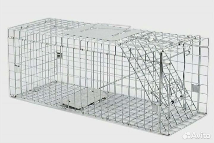 Котоловка, сачок, аренда, доставка