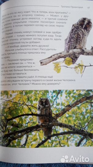 Детские книги о природе Прибайкалья 4