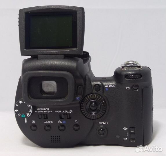 Sony dsc-r1