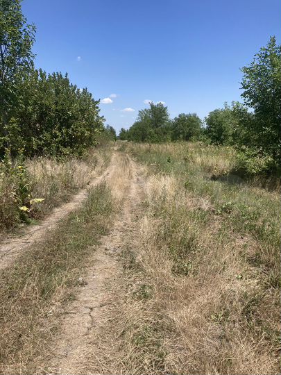 Участок 8 сот. (СНТ, ДНП)