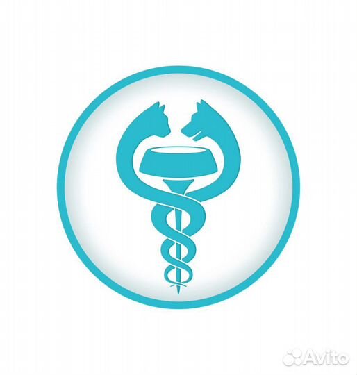 Ветеринарный врач на дом