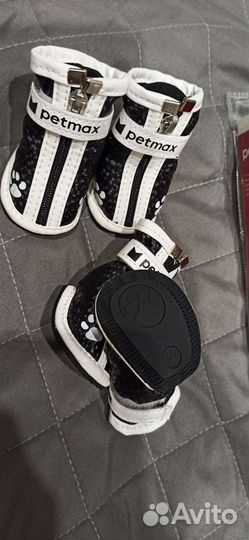 Обувь для собак