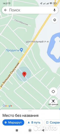 Курочки чешский доминант