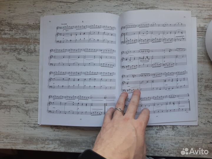 Альбом флейтиста