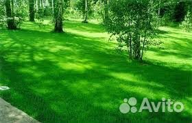 Покос травы триммером