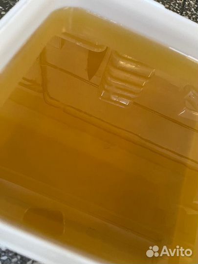 Свежая акация оптом