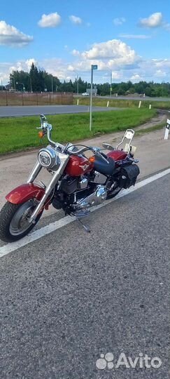 Harley davidson fat boy