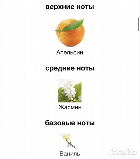 Zielinski rozen orange jasmine vanilla 25 ml