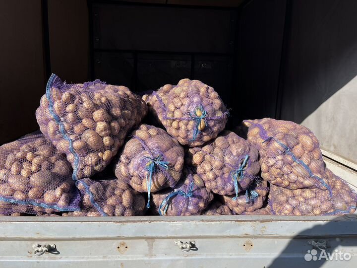 Картофель мелкий