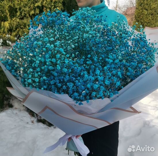 Гипсофила, букеты и композиции