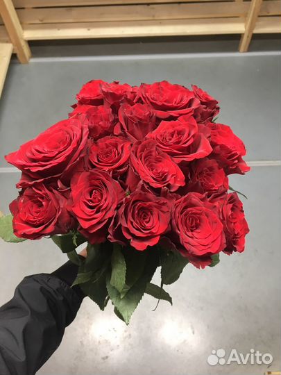 Розы Кения, Эквадор