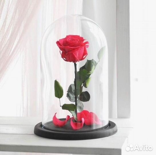 Роза в колбе. От производителя