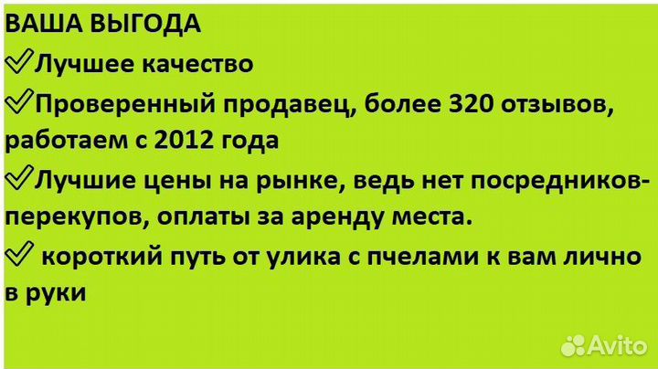 Мед 5л подсолнух из ульев, доставкой авито 0р