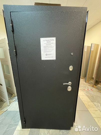 Входная дверь 10 см