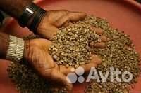 Кофе зеленый в зернах Brazil Santos Робуста Вьетна