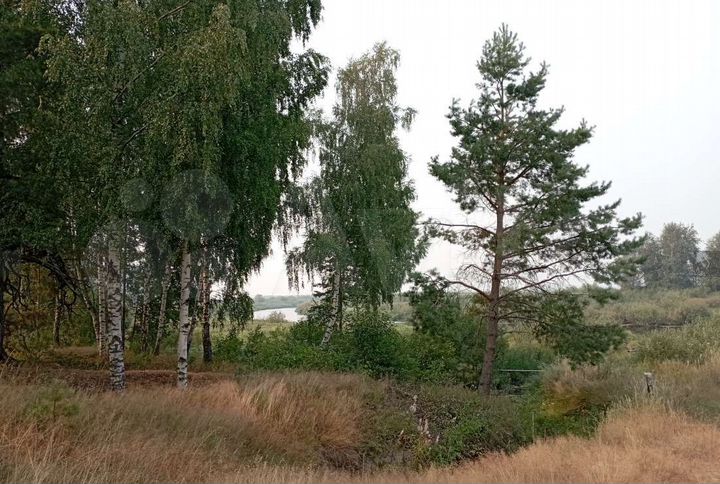 Участок 15 сот. (ИЖС)