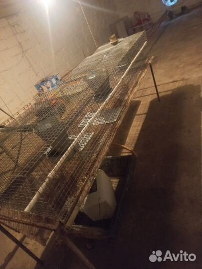 Клетки для кроликов бу
