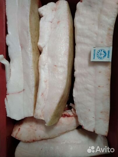 Продам сало (деревенское)