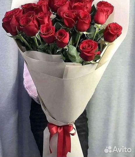 101 роза цветы букеты доставка 25 51 101 роза