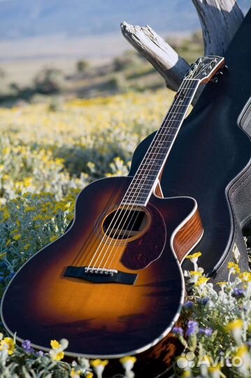 Уроки игры на гитаре онлайн