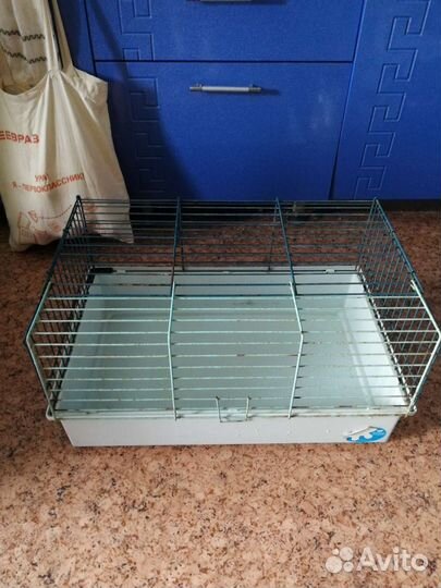 Большие Клетки и маленькие