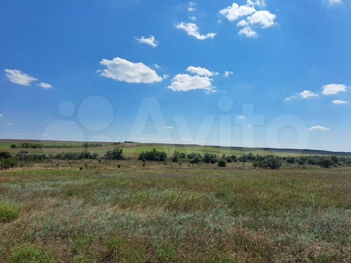 Участок 100 сот. (СНТ, ДНП)