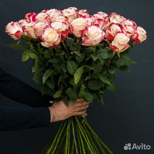Розы эквадор по штучно доставка 24/7