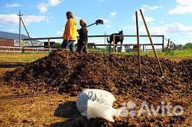 Навоз коровий в мешках конский перегной