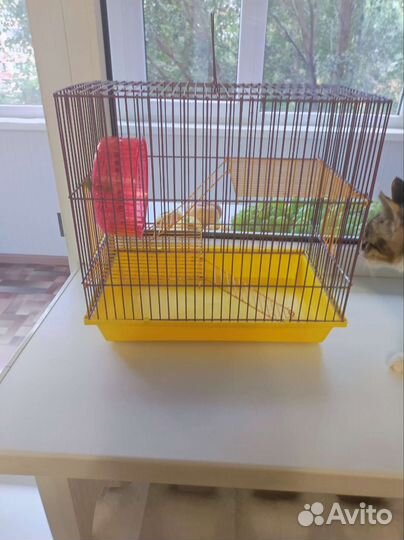Клетка для хомяка