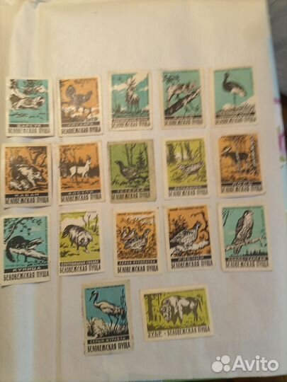 Спичечные этикетки СССР. Беловежская пуща