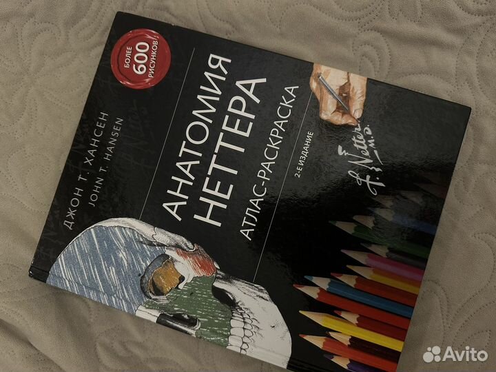 Анатомия неттера атлас раскрасска