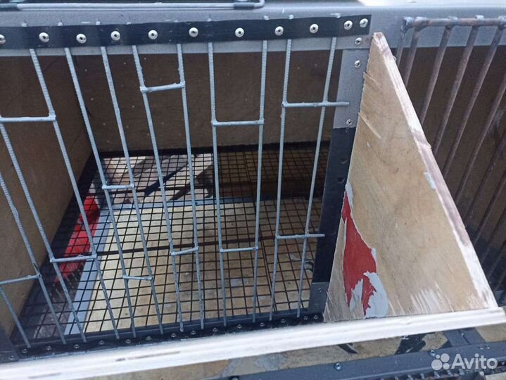 Промышленные клетки для кроликов