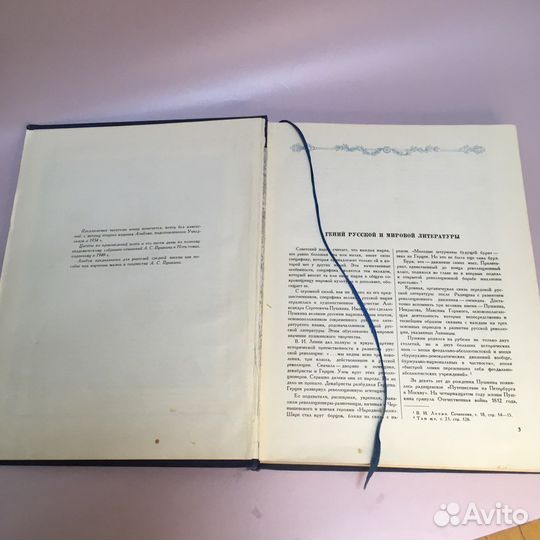 Пушкин в портретах и иллюстрациях