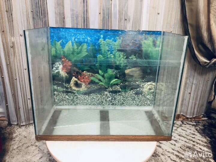 Аквариум