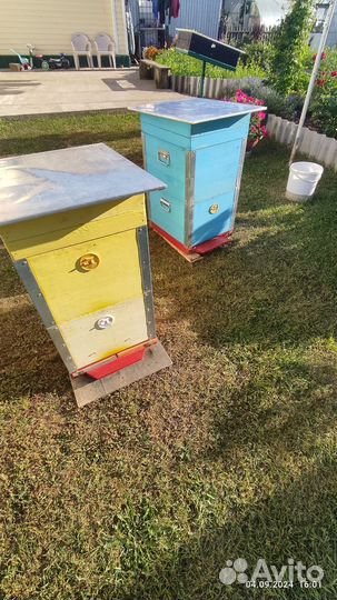 Улей дадан 10 рамок