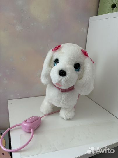 Интерактивная собака