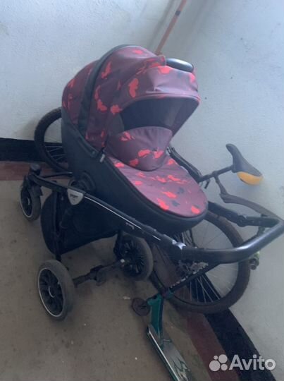 Коляска anex sport 2 в 1