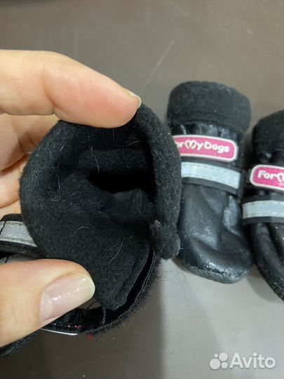 Зимние ботинки для собак