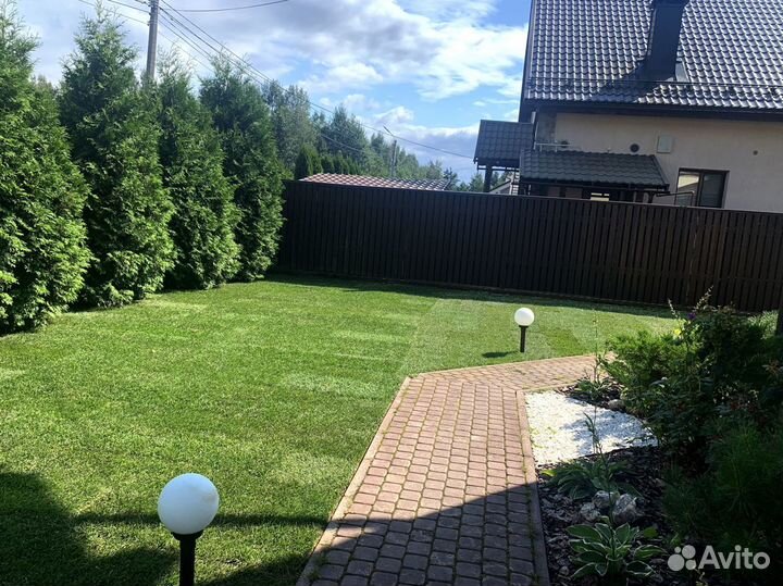 Рулонный газон 